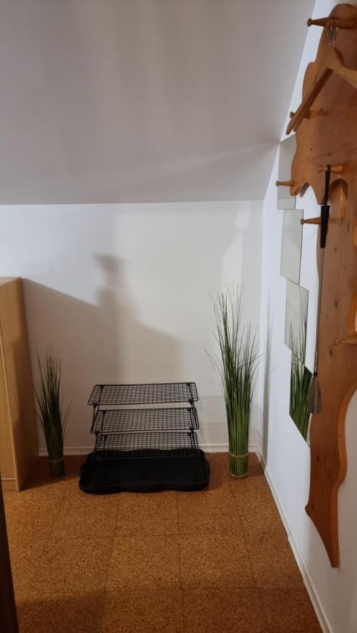 קרנייסקה גורה Apartma Ursic מראה חיצוני תמונה